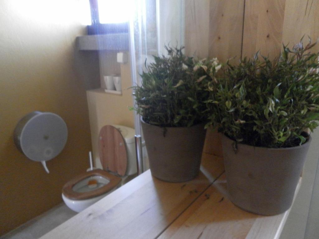 Lemon Tree Hostel Areia Branca Pokój zdjęcie
