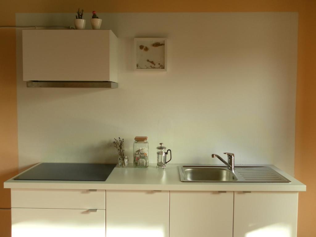 Lemon Tree Hostel Areia Branca Zewnętrze zdjęcie