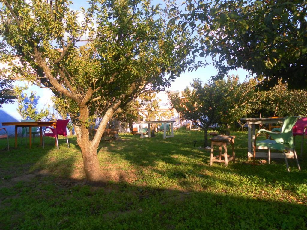 Lemon Tree Hostel Areia Branca Pokój zdjęcie