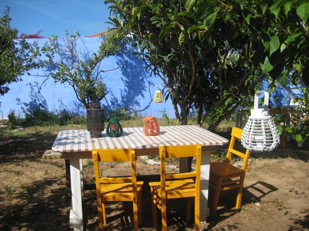 Lemon Tree Hostel Areia Branca Pokój zdjęcie